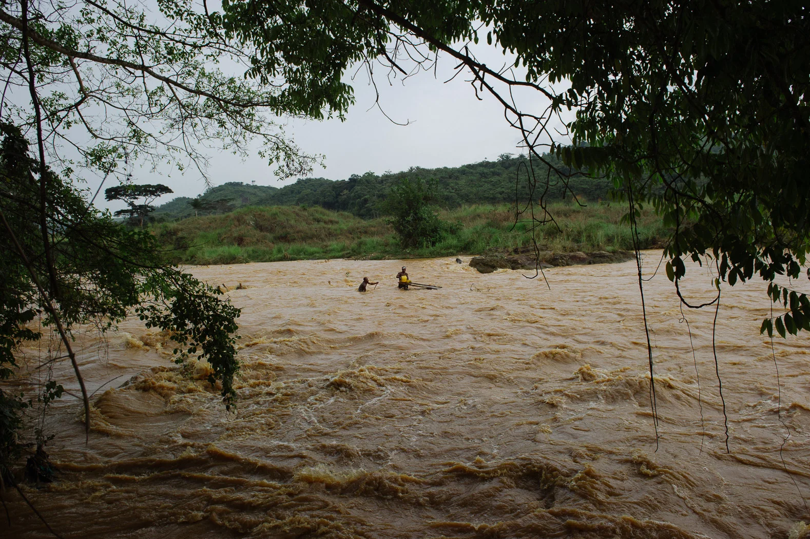 06_PEM_COD_SudKivu_5264.jpg