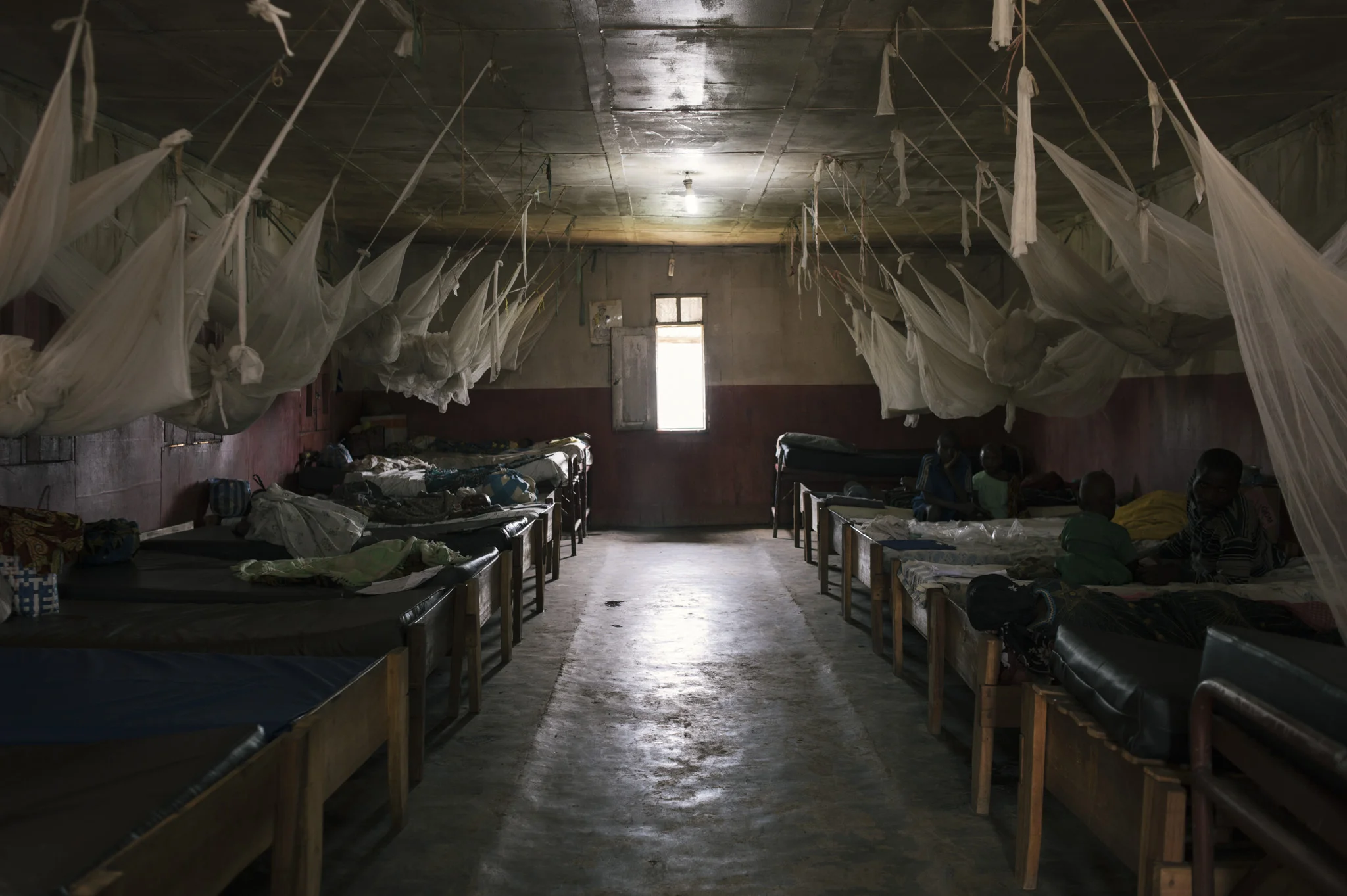 29_PEM_COD_Masisi_3286.jpg