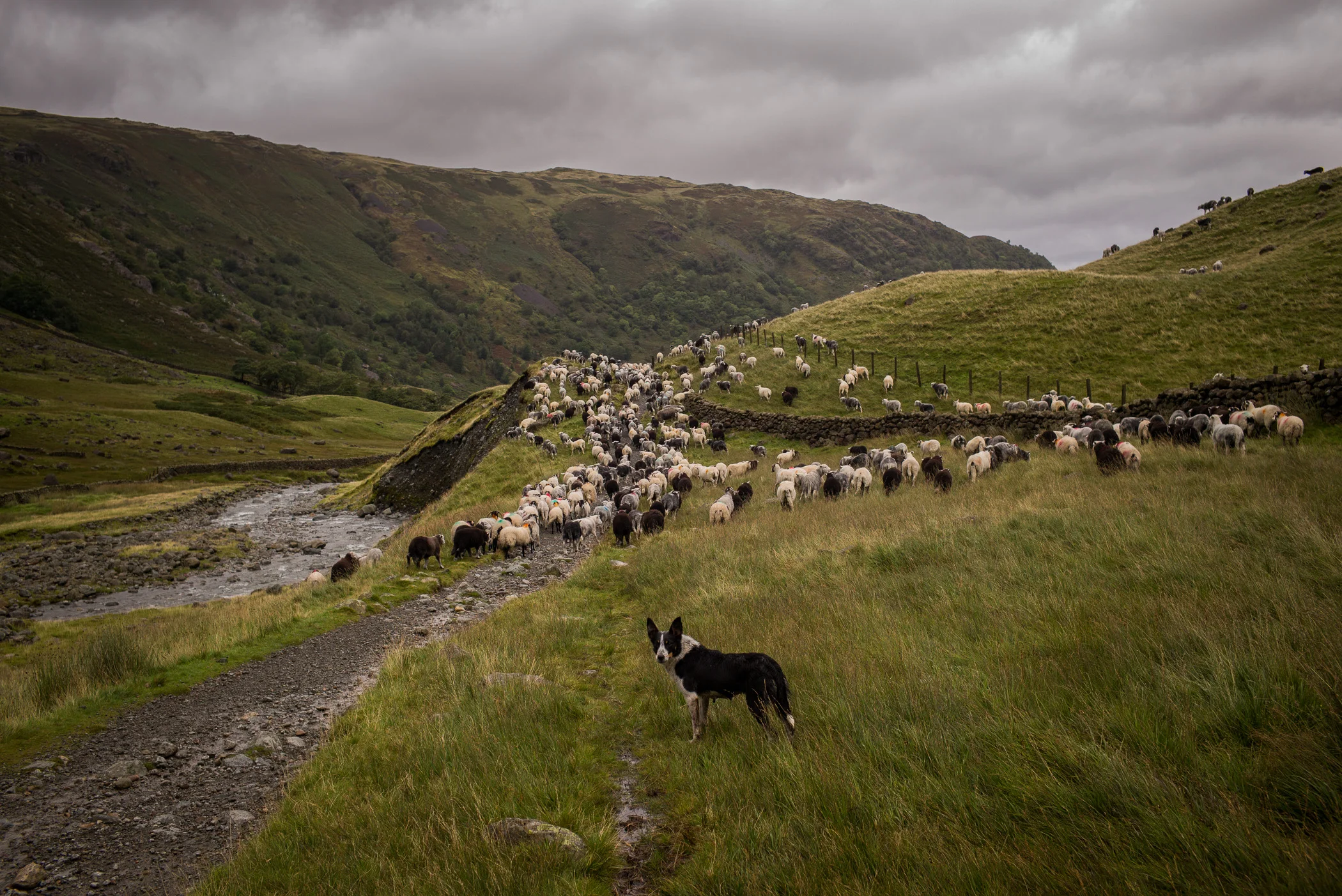 TK DAYS LAKE DISTRICT