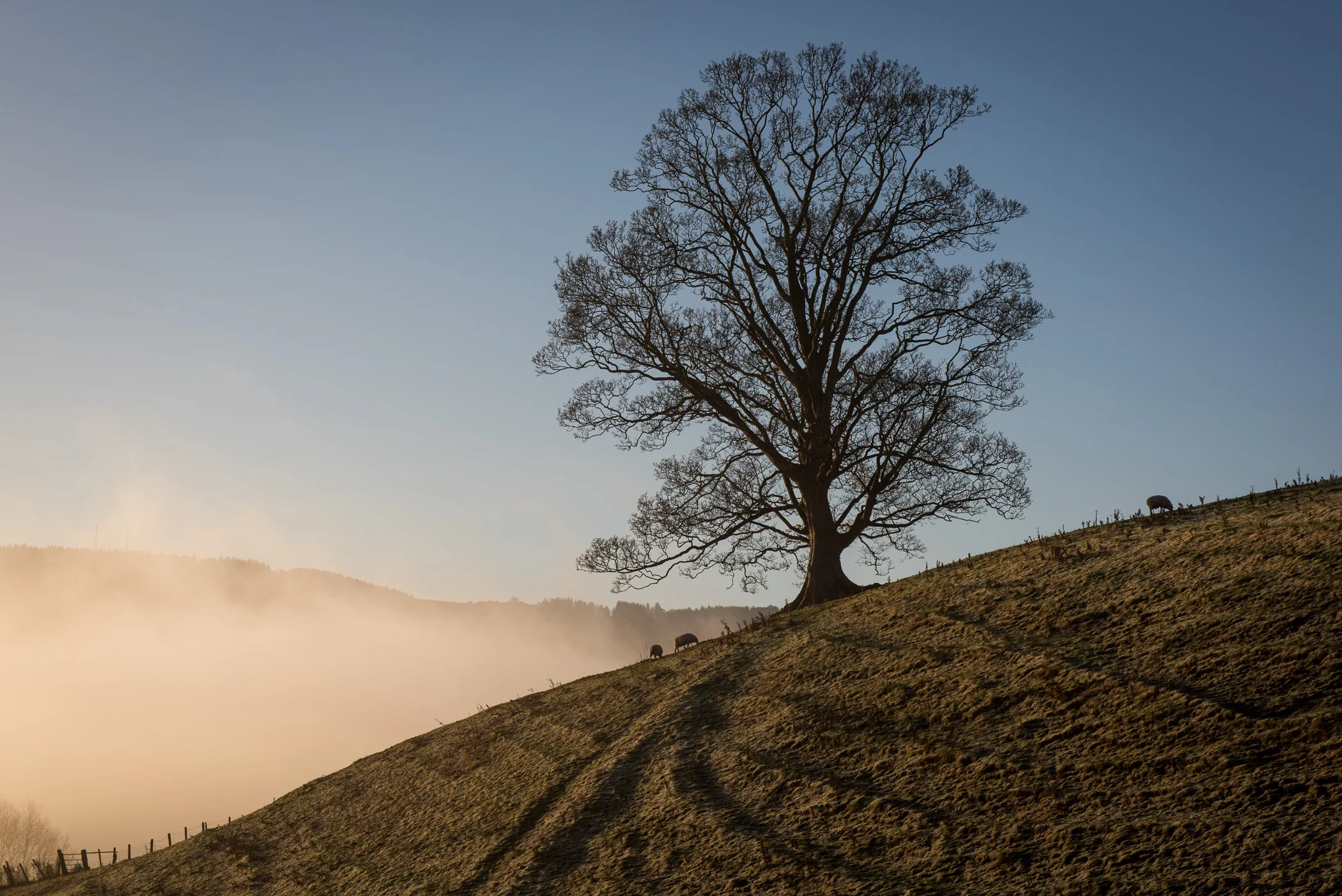 PEM_GBR_Llangollen_1413.jpg