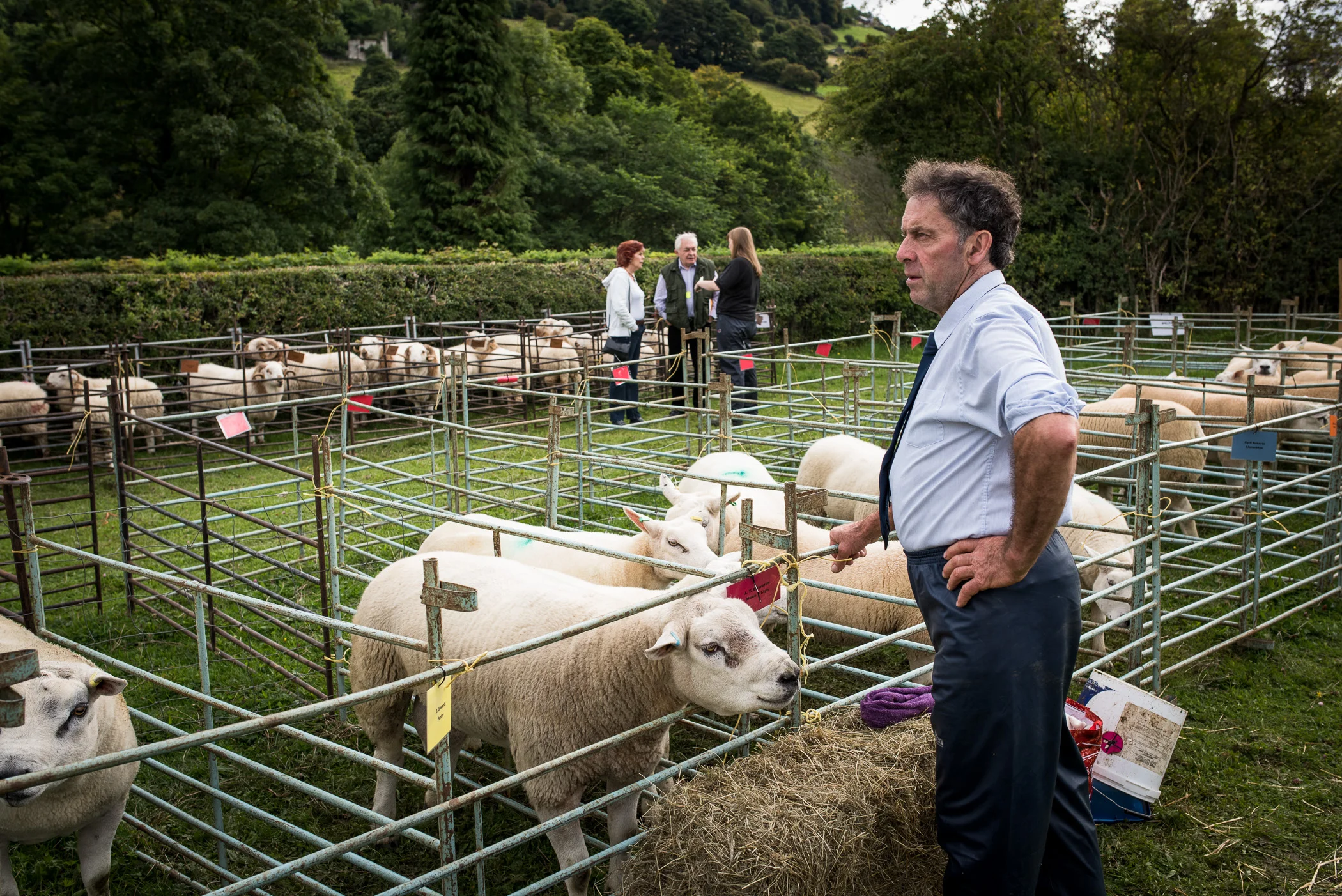 Ceiriog Valley Show