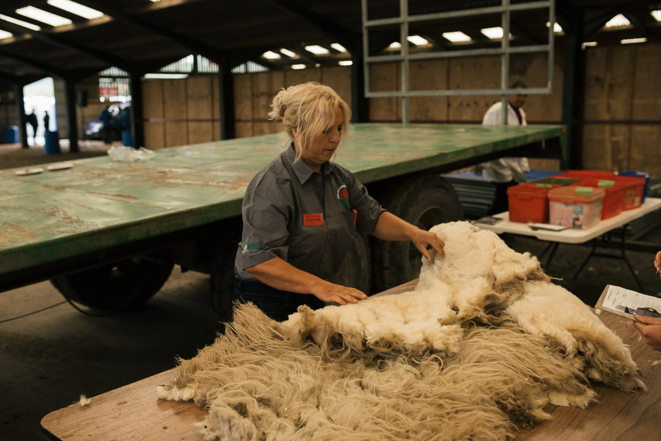 Corwen International Lamb Shearing Championships