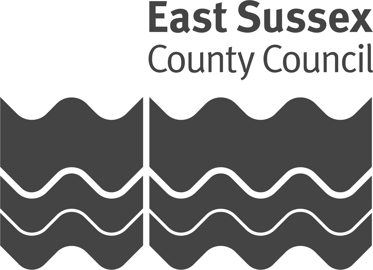 East_Sussex_Council.png