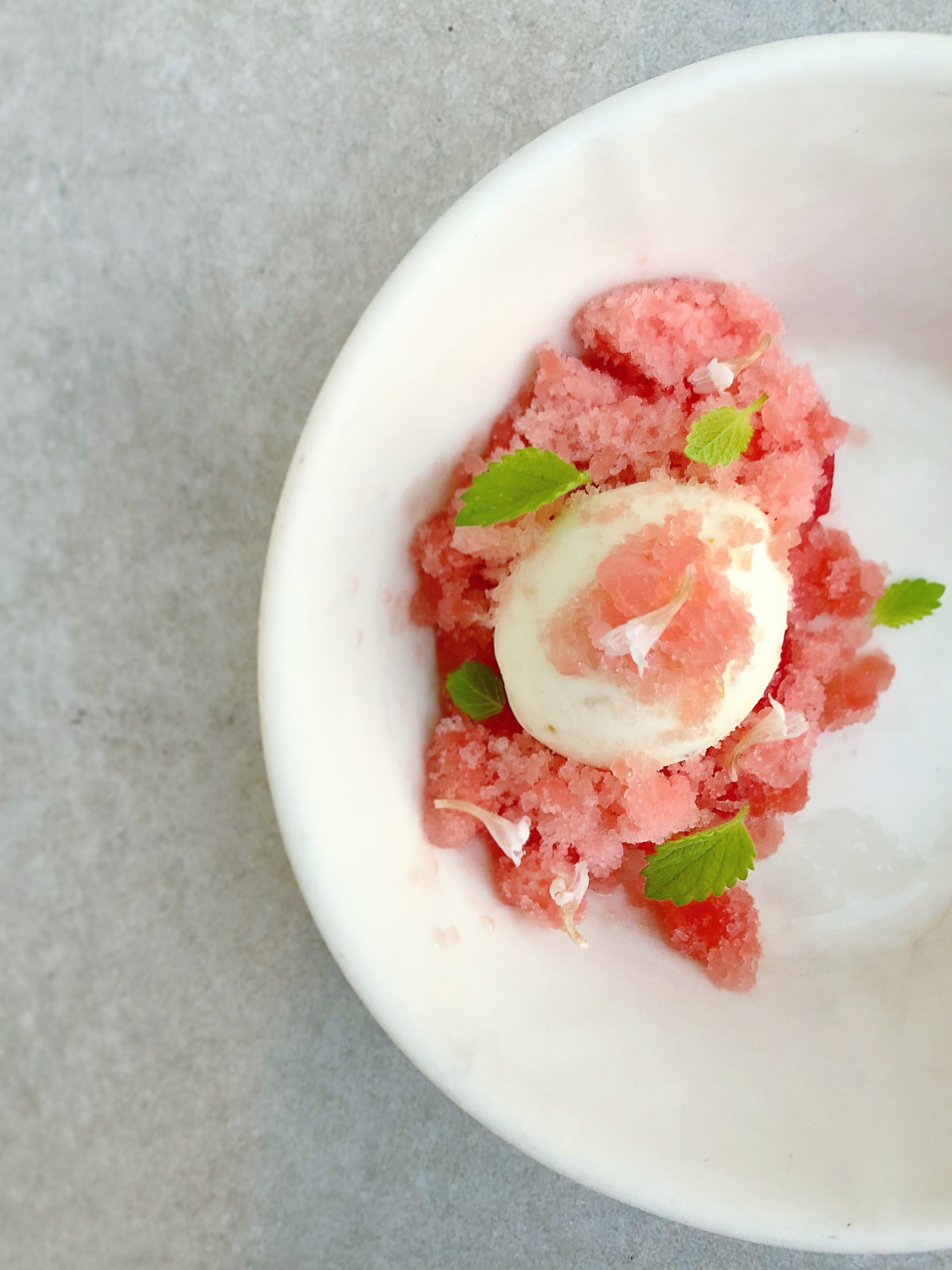 Honey Fennel Frozen Yogurt, watermelon, gin.