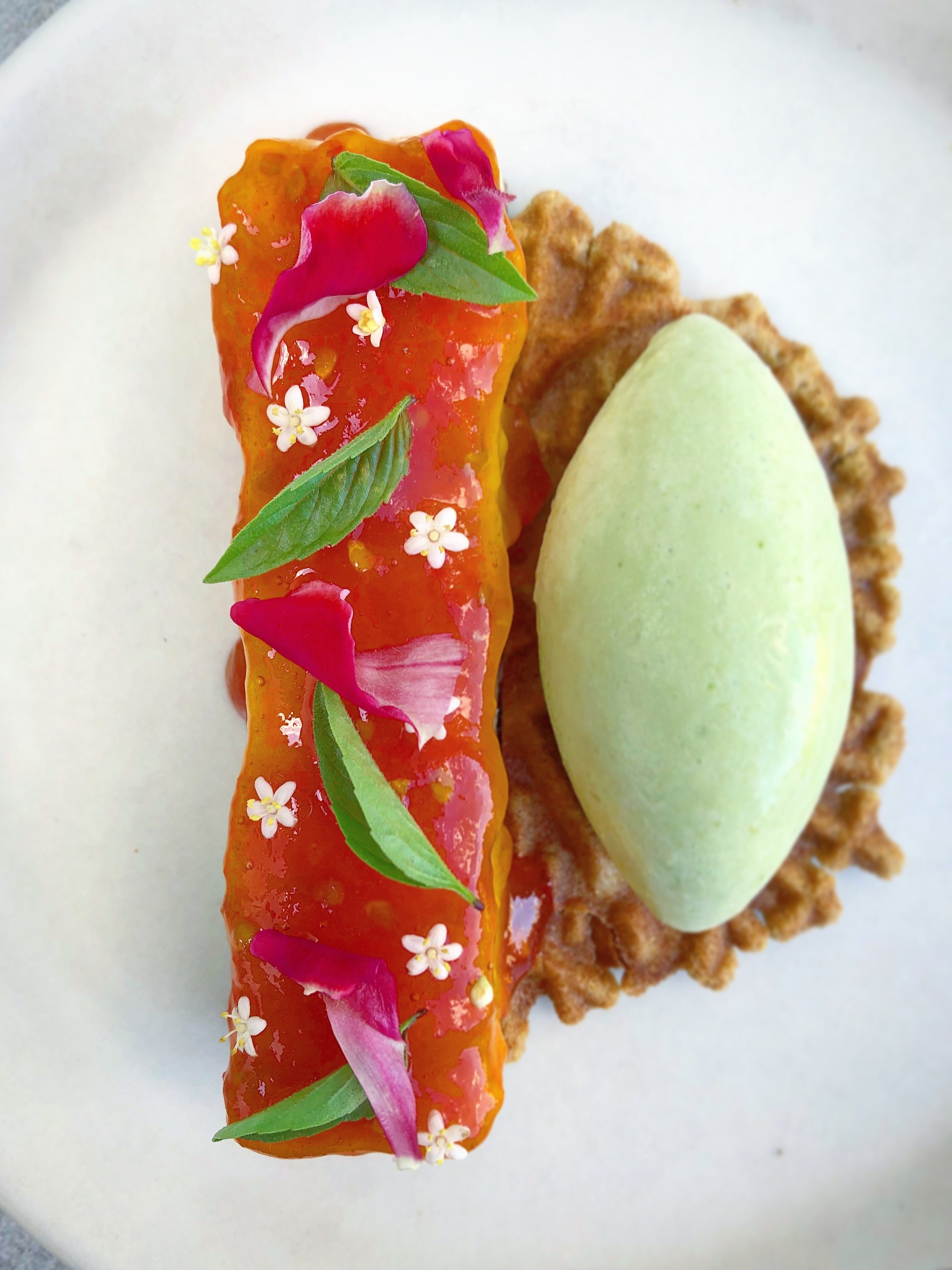 Chèvre Cheesecake, tomato, basil, rye.