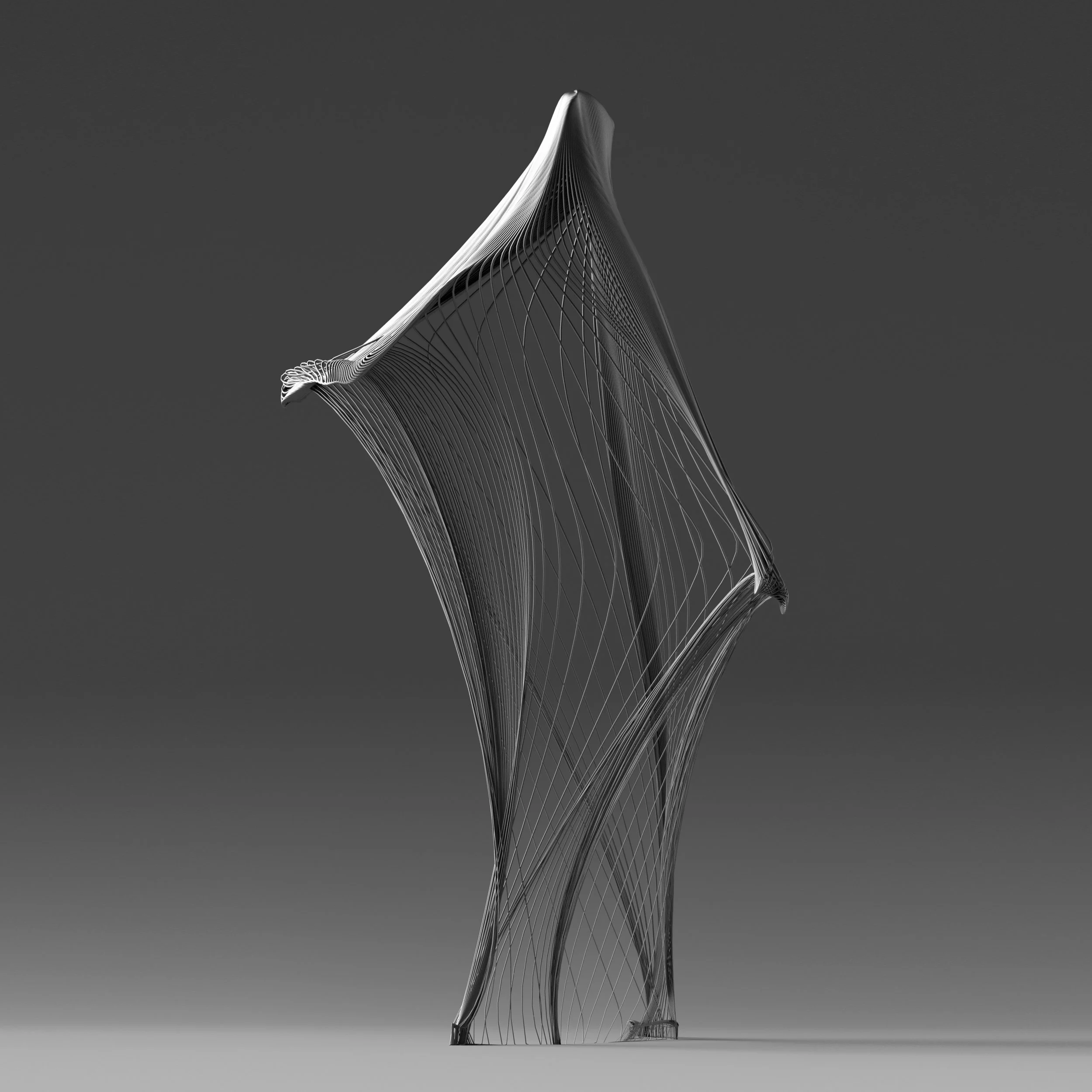 Woman_in_motion01.jpg