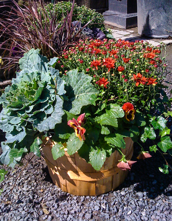 fall basket.jpg