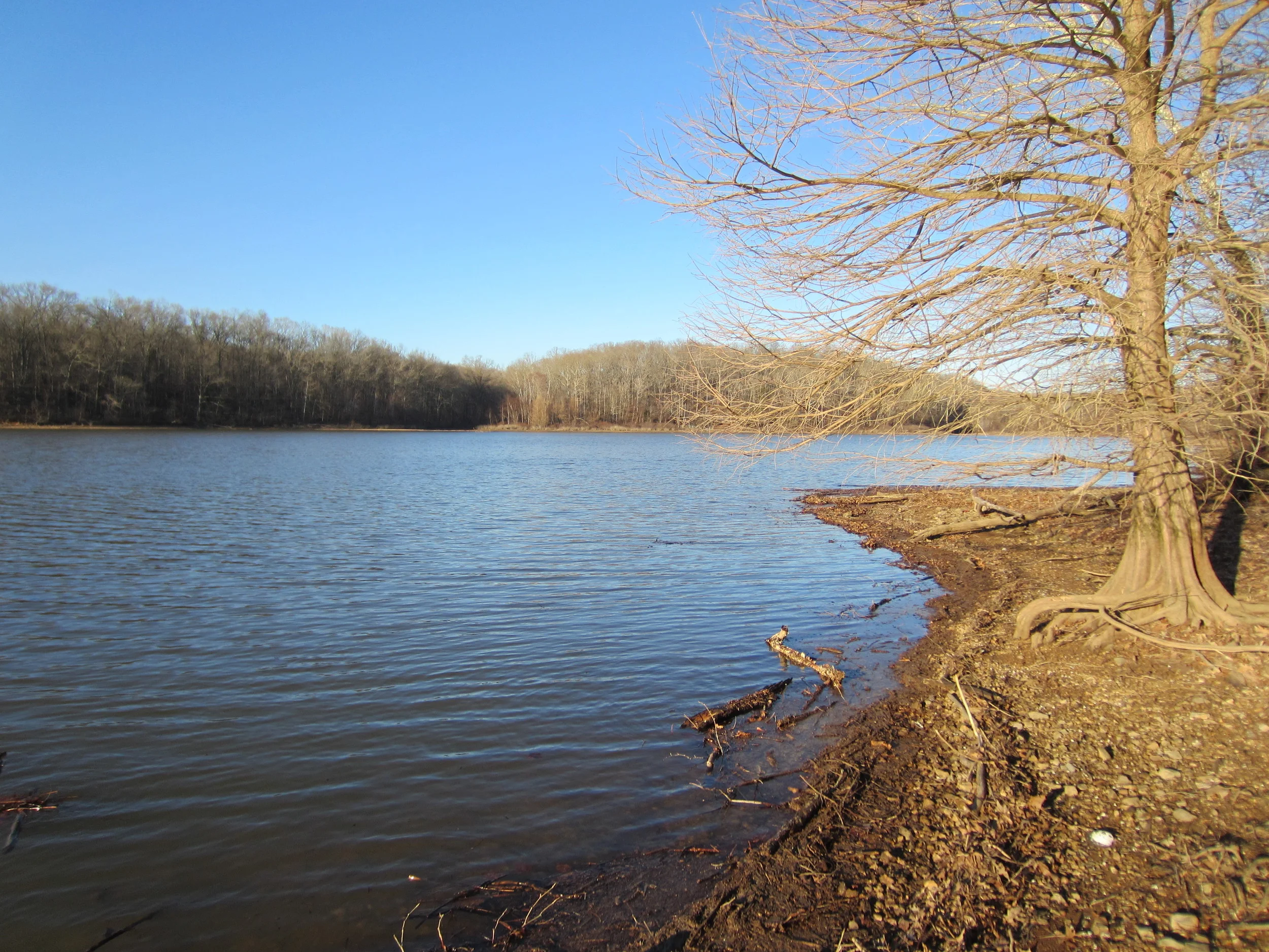North/South Trail Land Between the Lakes, KY — STUTHETRAVELER
