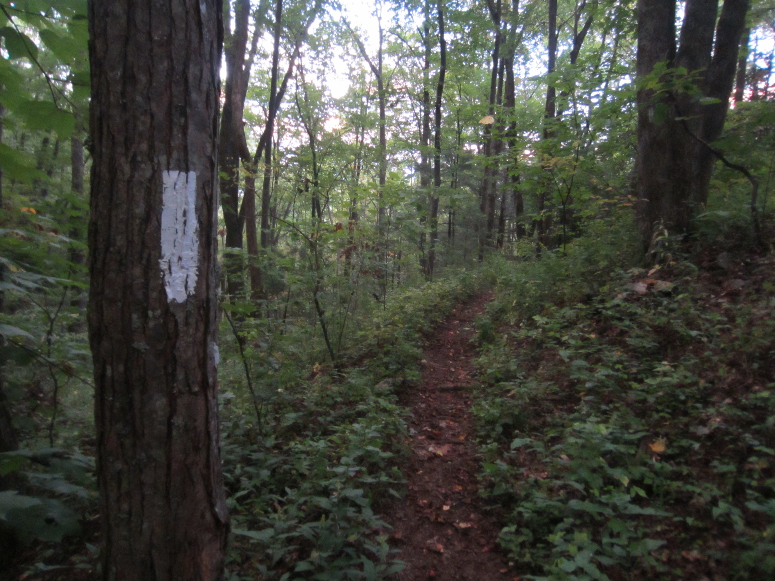 Appalachian Trail - Hot Springs, NC to Davenport Gap, NC