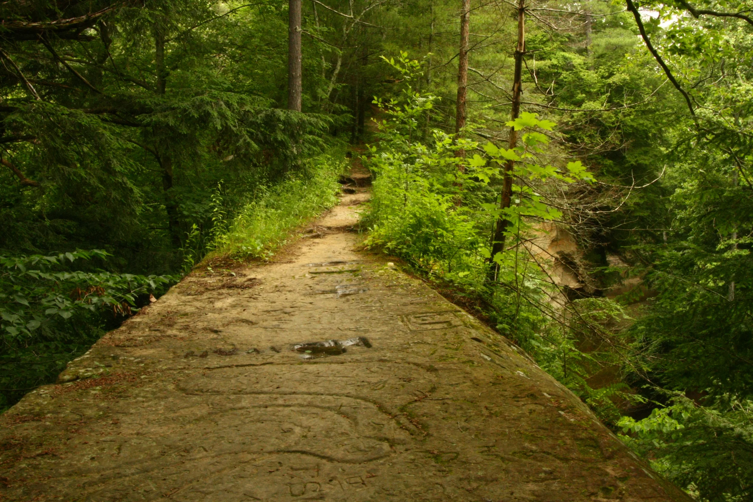 Shades State Park: The less popular little brother