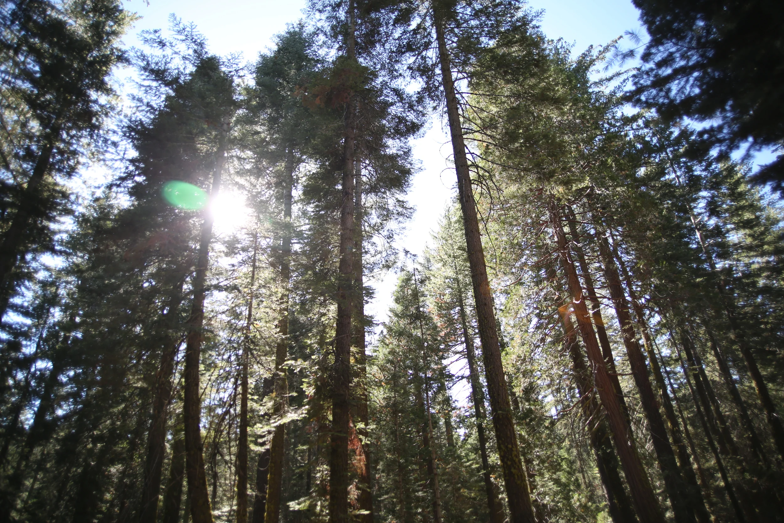 Yosemite National Park, California