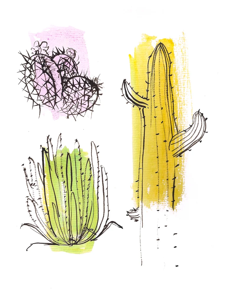 jillian cacti.jpg