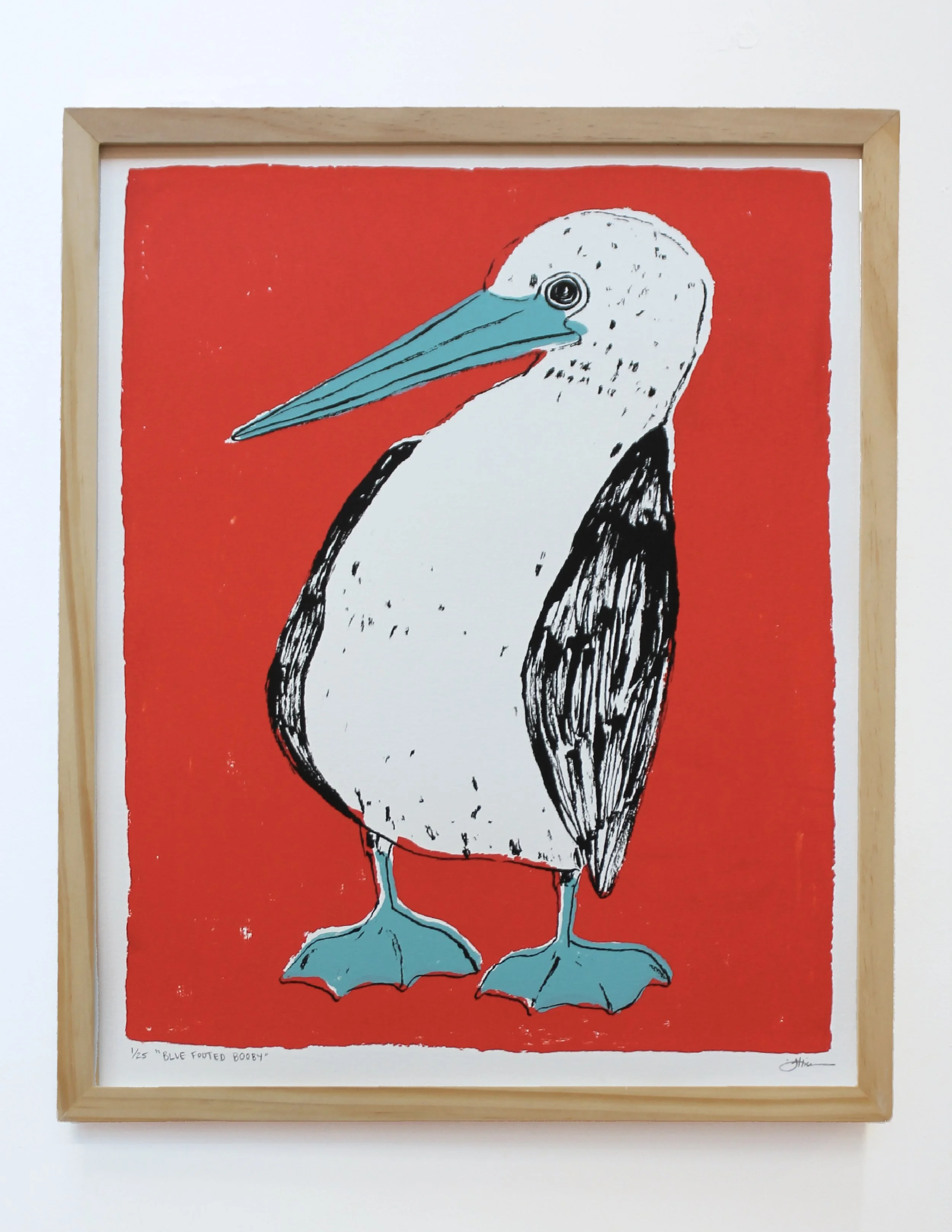 blue footed booby frame.jpg