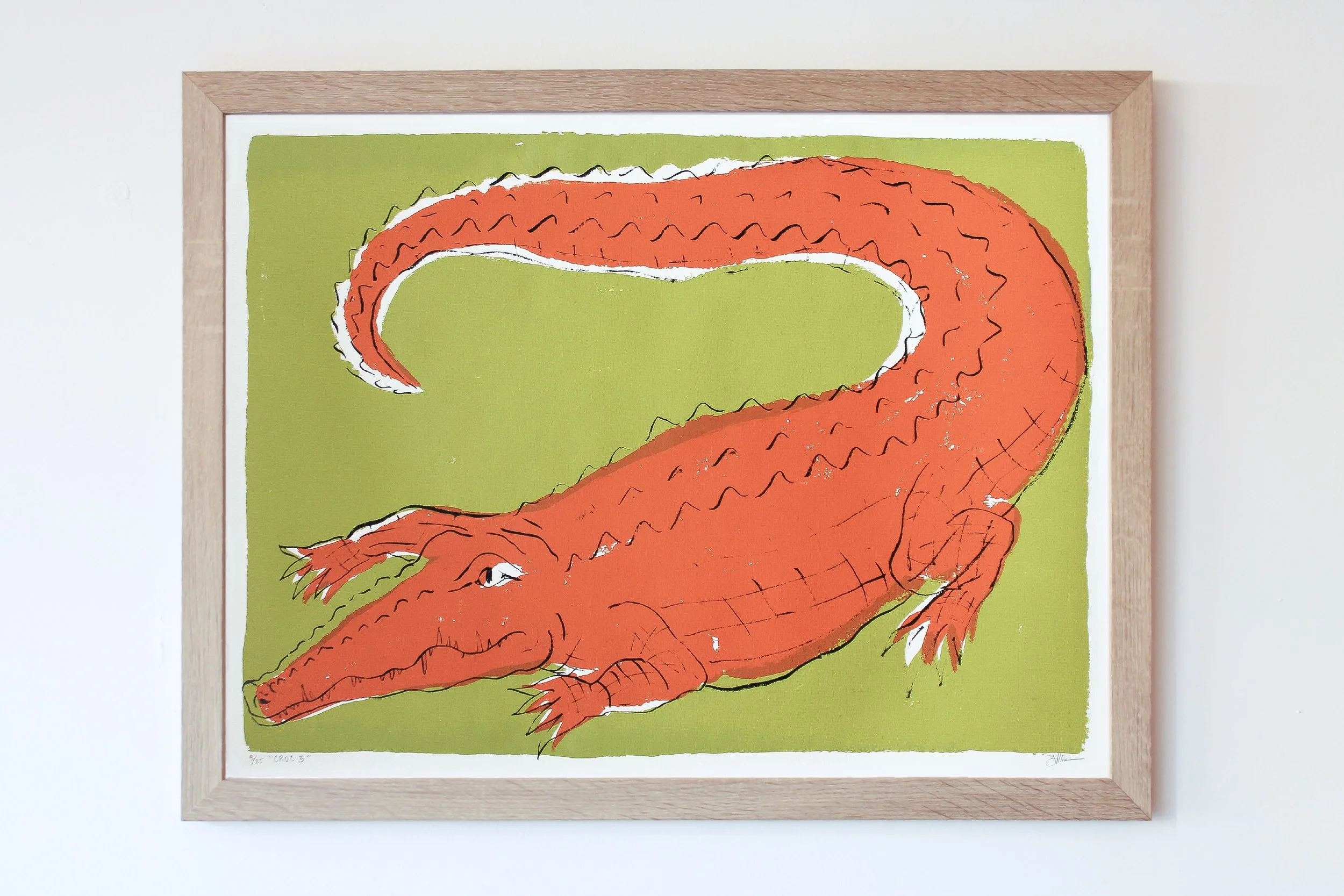 croc 3 frame.jpg