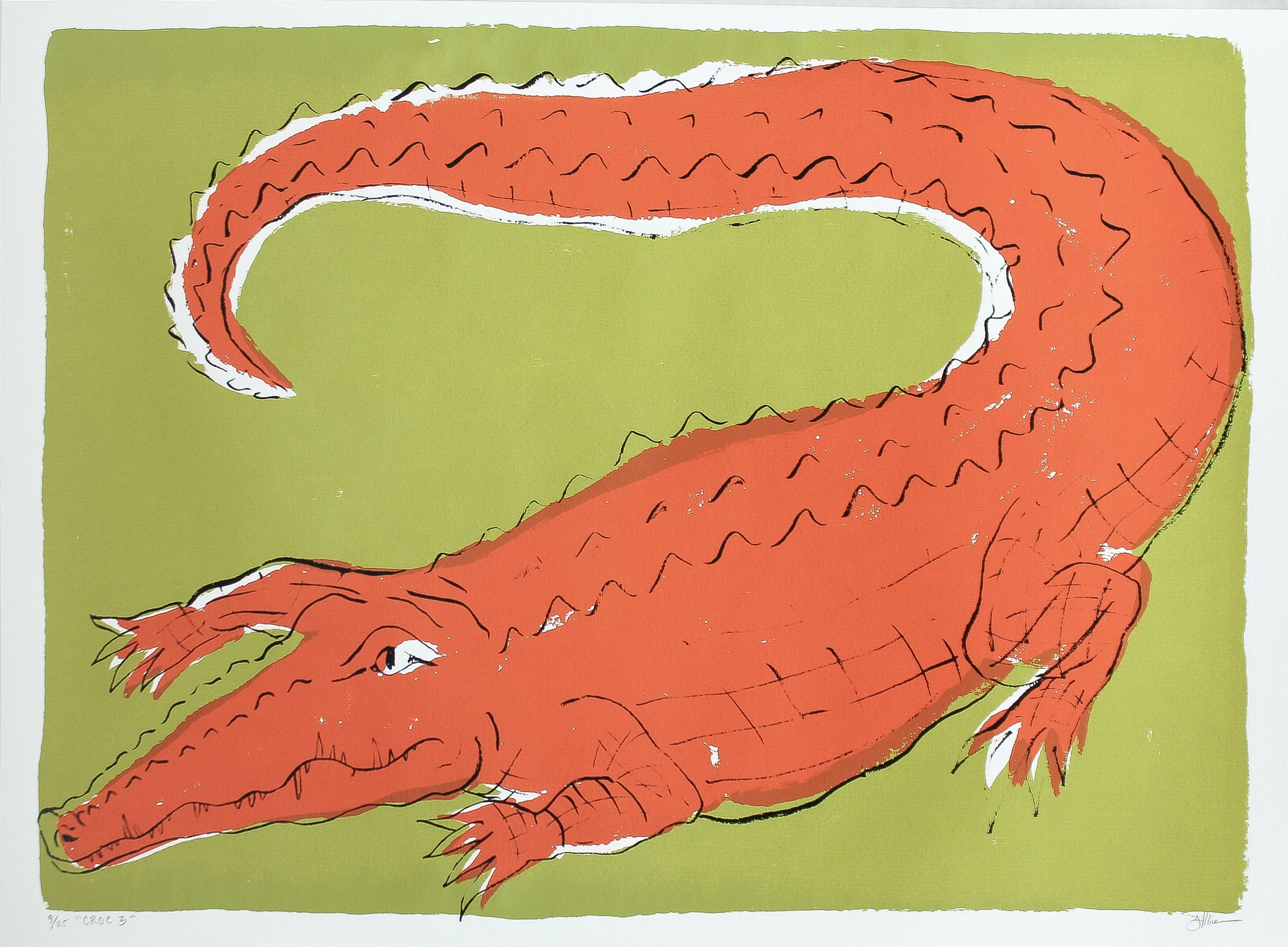 croc 3.jpg