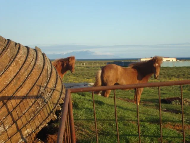 dsc03098.jpg