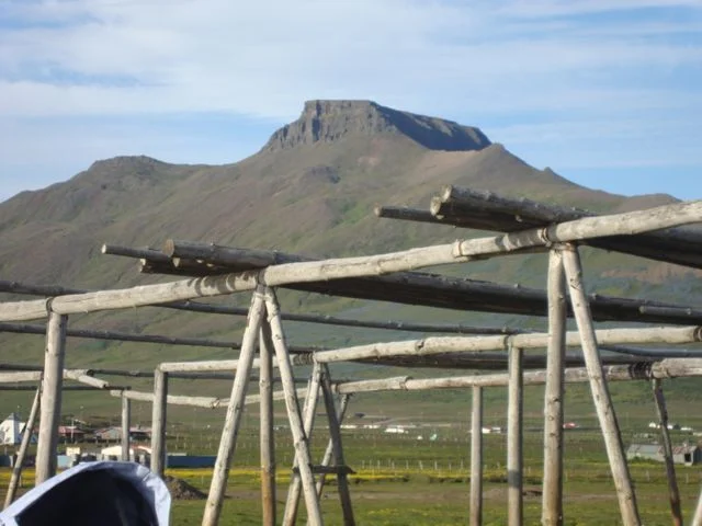 dsc03227.jpg