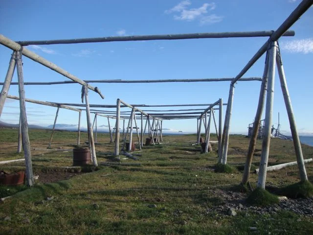 dsc03215.jpg