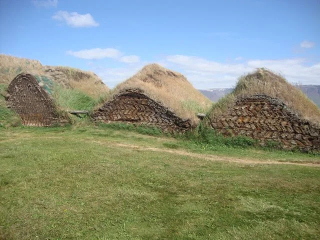 dsc03324.jpg