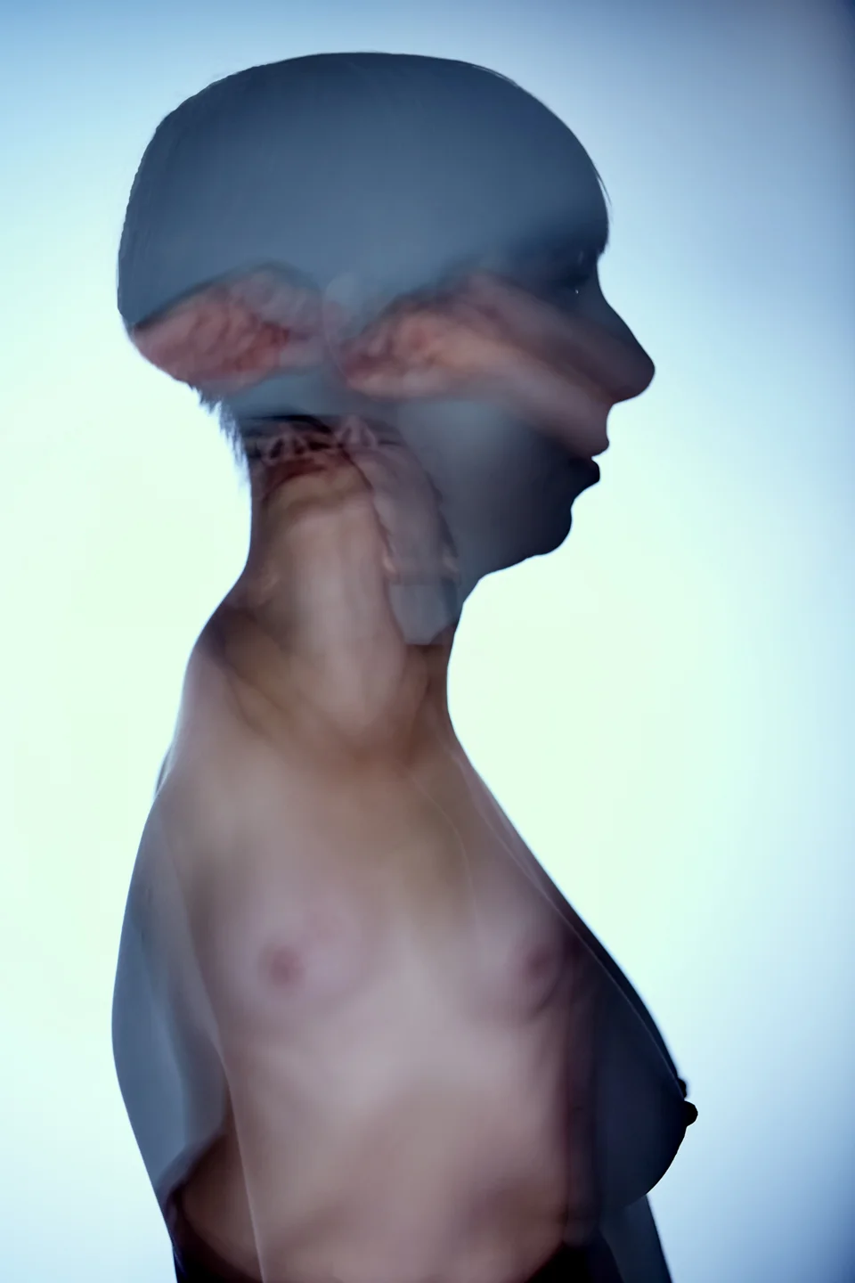 Movement 1.7, 2018