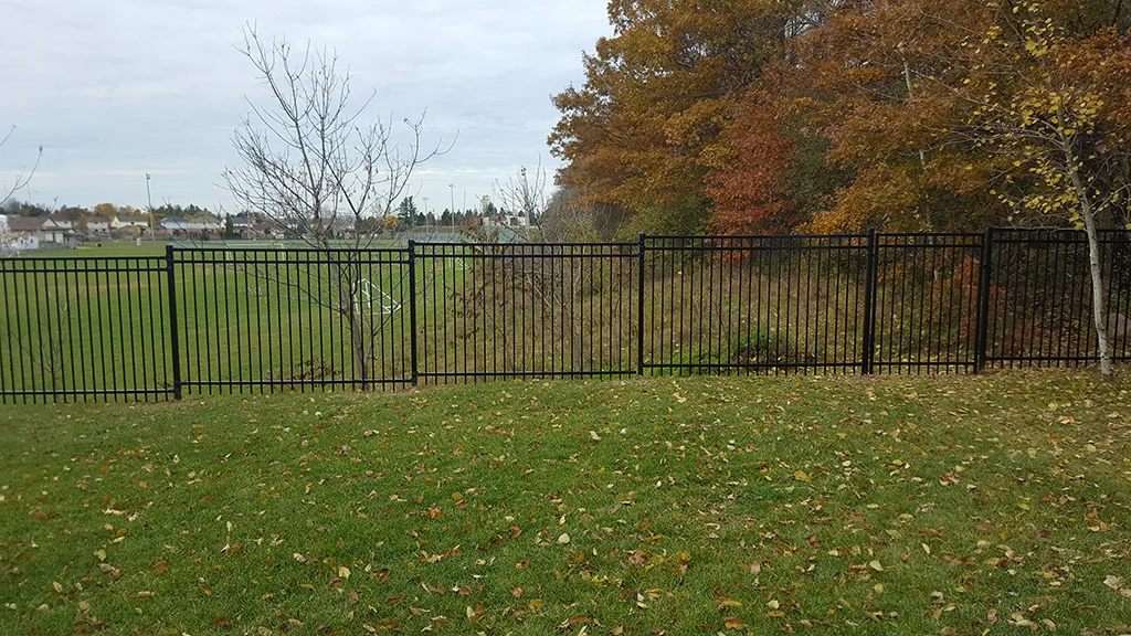 20181104_140448.jpg