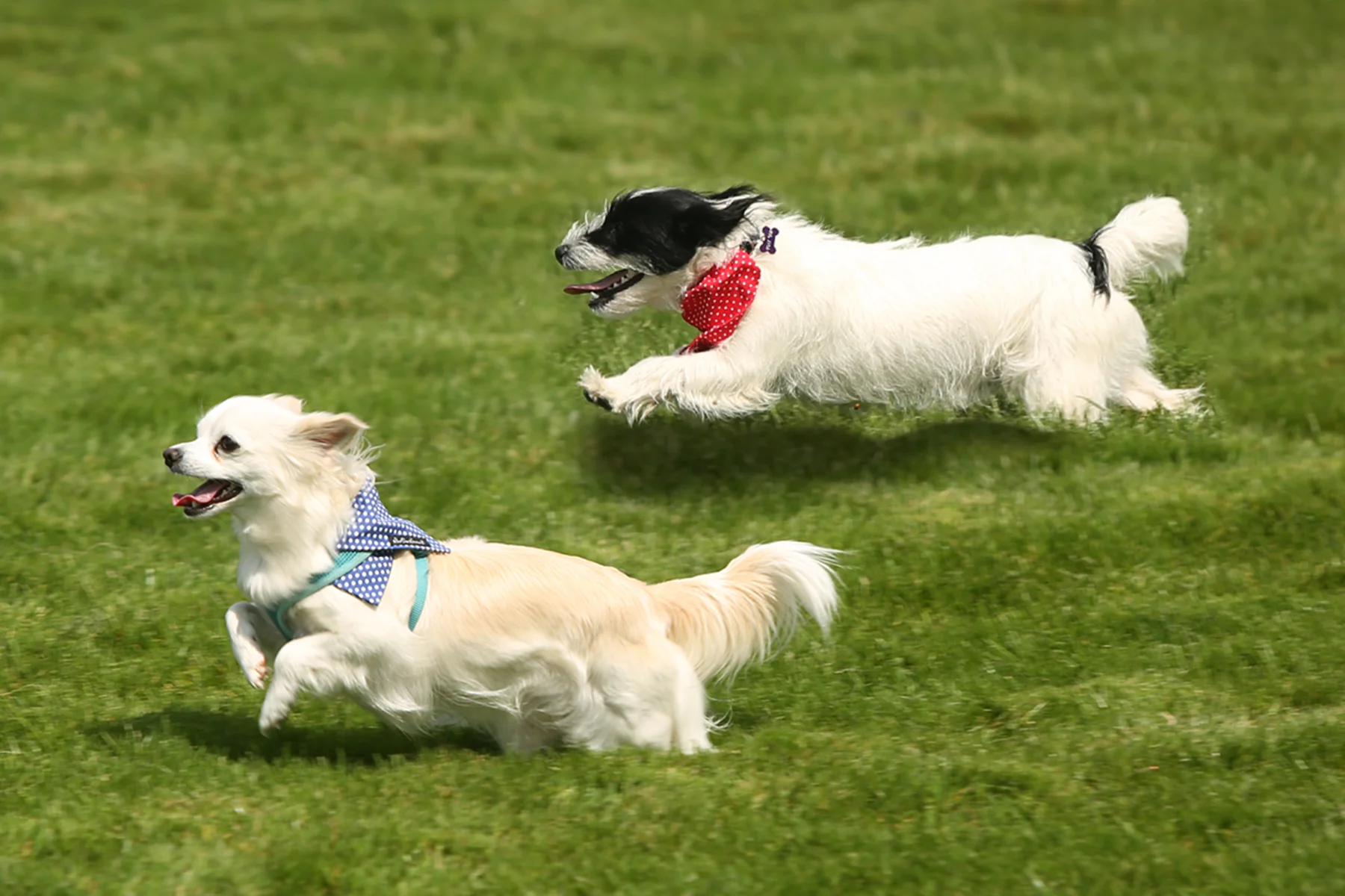 Belle And Nancy Meet The Rising Ground…