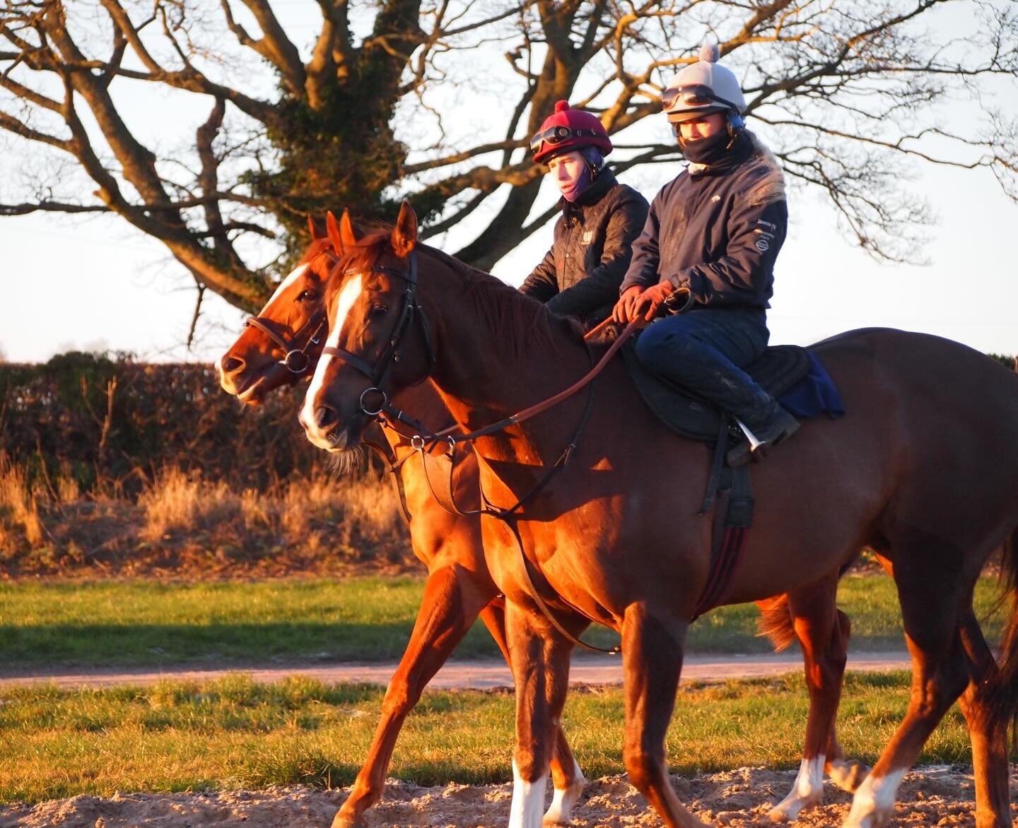 Freezing, but beautiful morning ❄️
Here&rsquo;s yard legend Athollblair Boy with @fayemcmanoman 
#teamtinkler