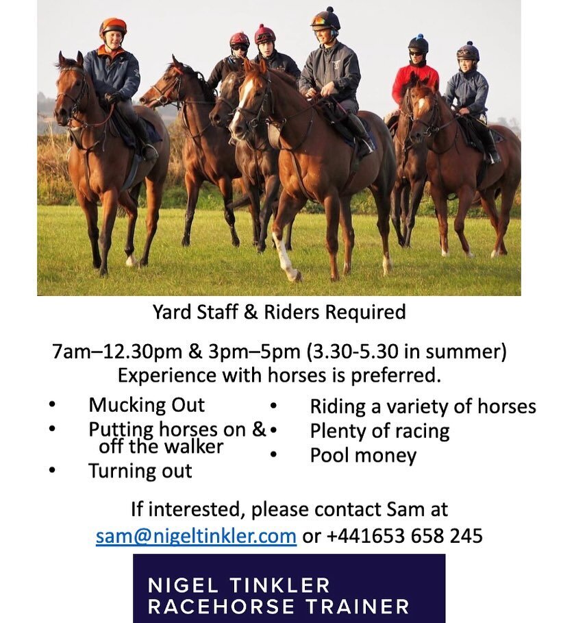 We&rsquo;re currently looking for staff to join our small, friendly team! Based in beautiful Malton, North Yorkshire. Please contact us via the details above if interested!
#teamtinkler