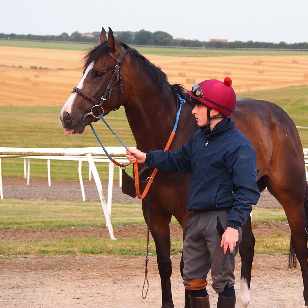 Ticktyboo embracing #tongueouttuesday 🐎
#teamtinkler
