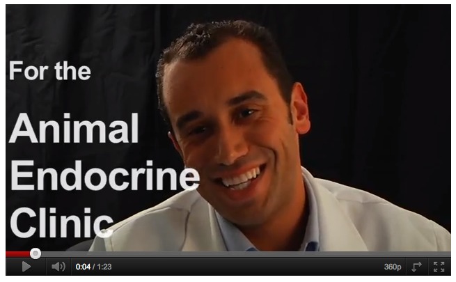 Video Testimonials Dr Mark E Peterson