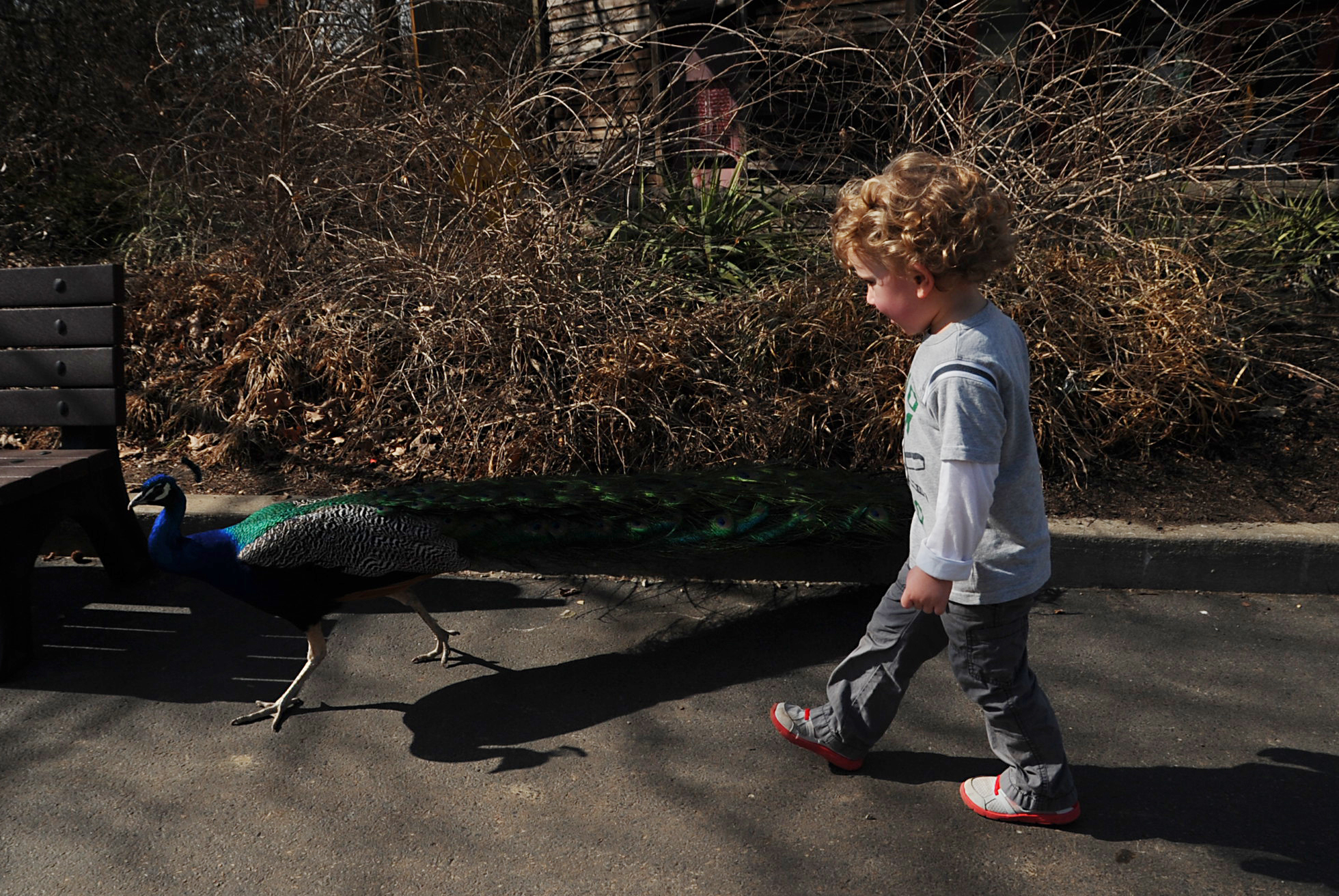 DSC_0529edit.jpg