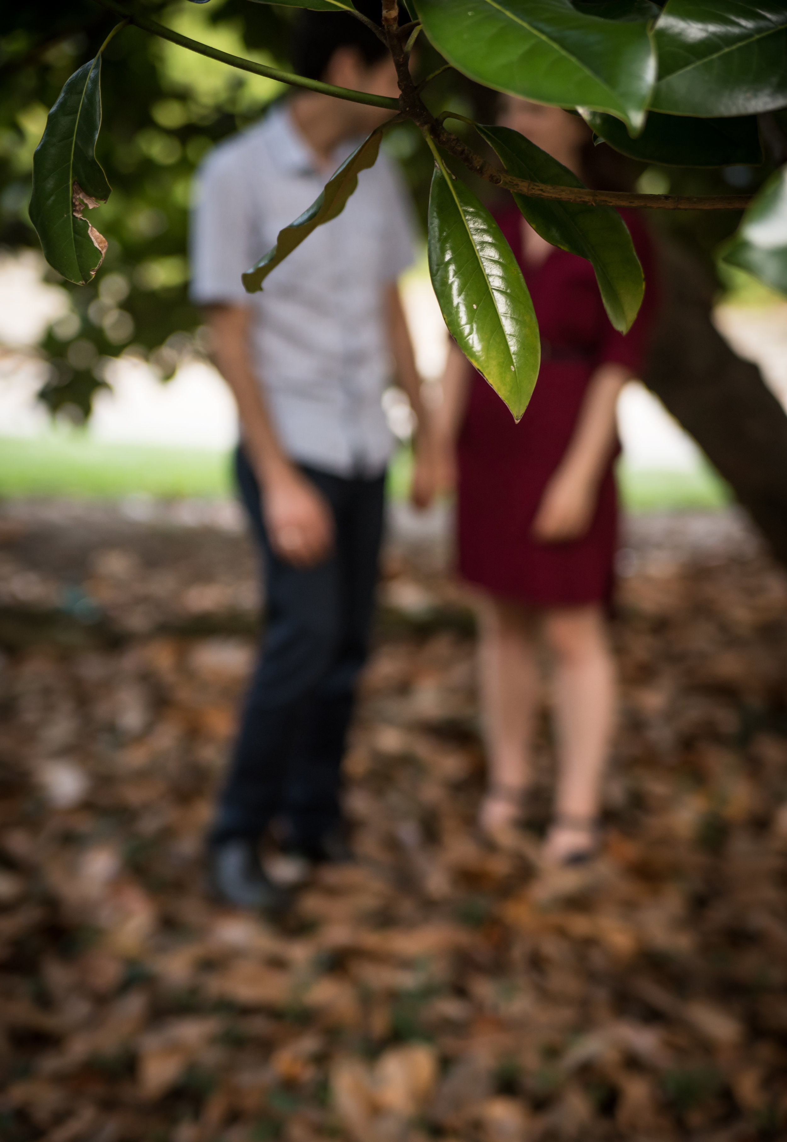 Tess & Mo Engagement-4940.jpg