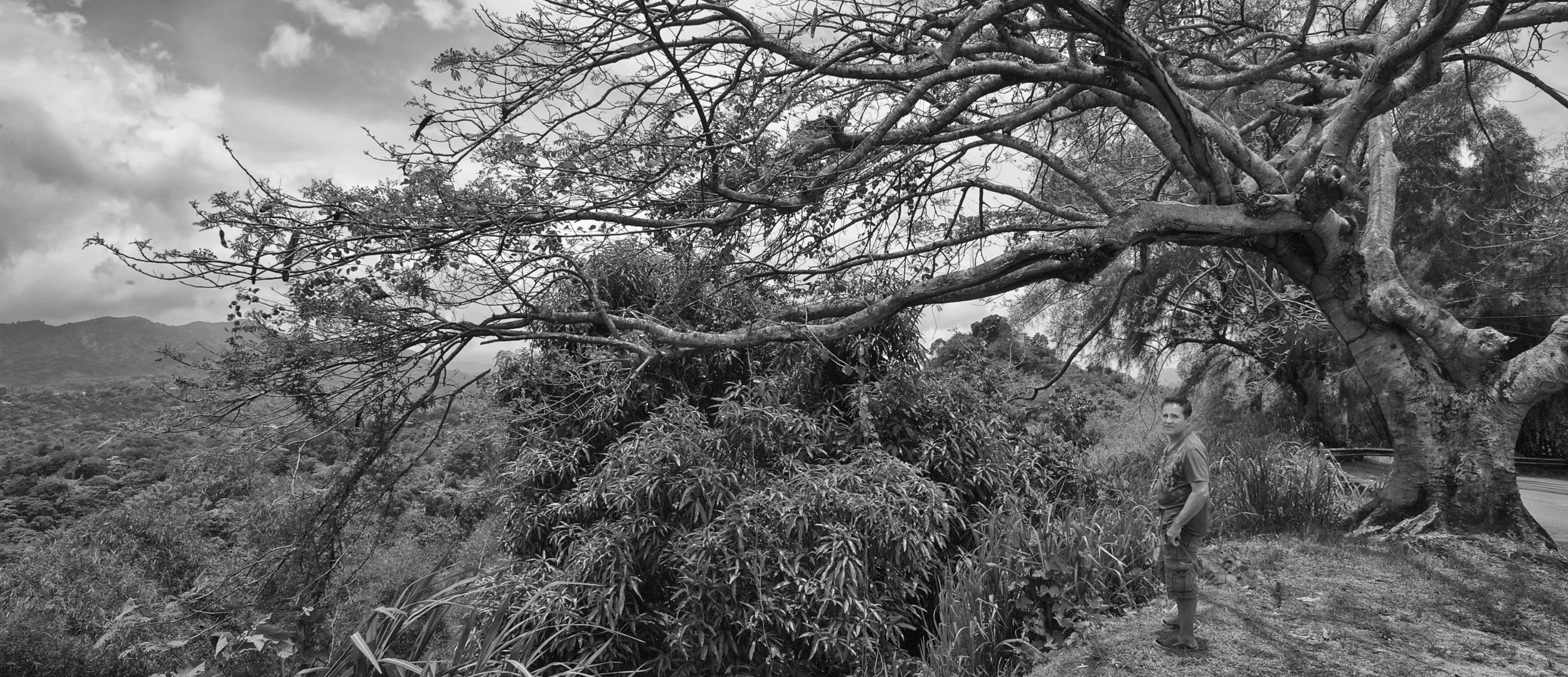 DSC_5565 - Version 2.jpg