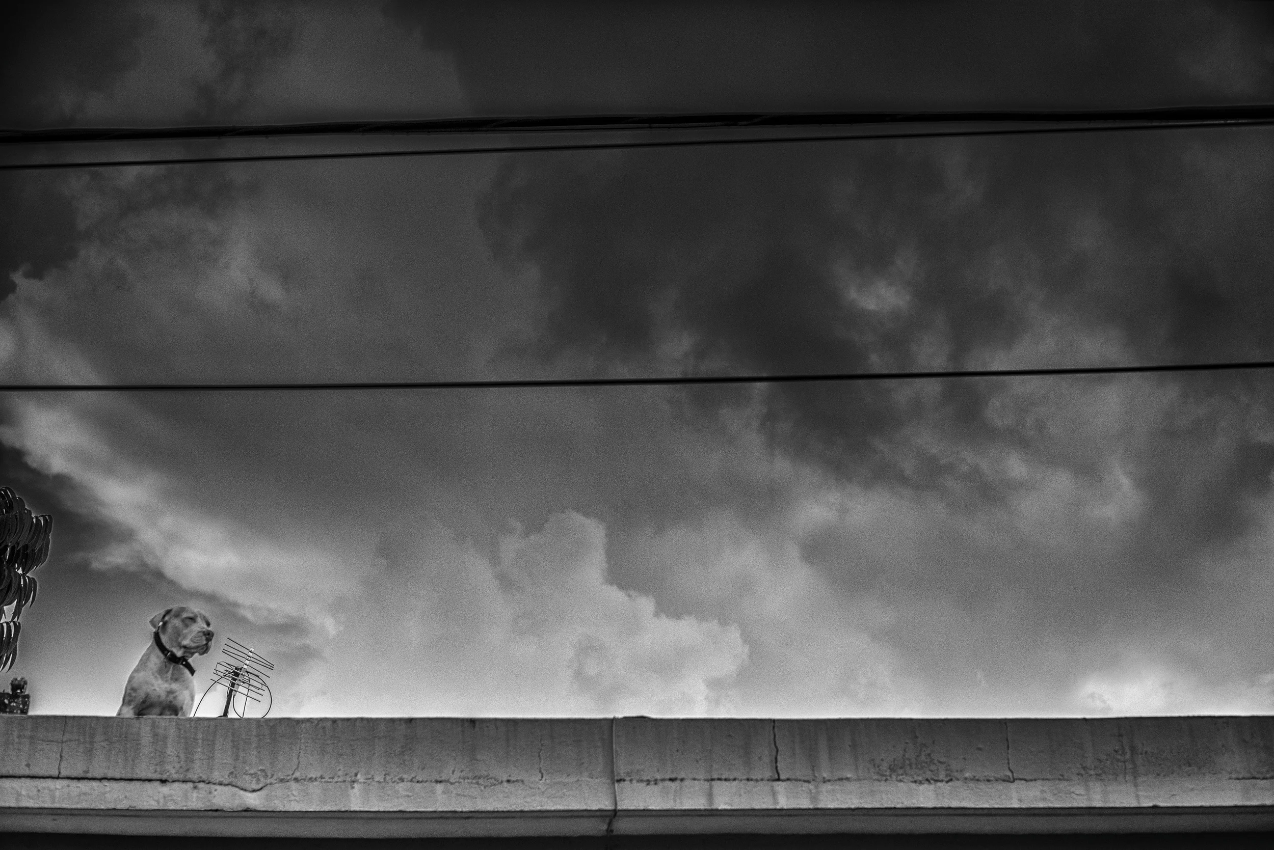 DNG_3784.jpg
