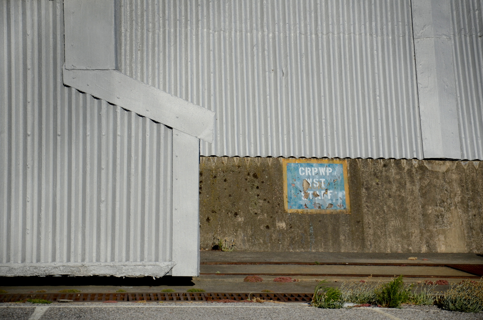 DSC_5350.JPG