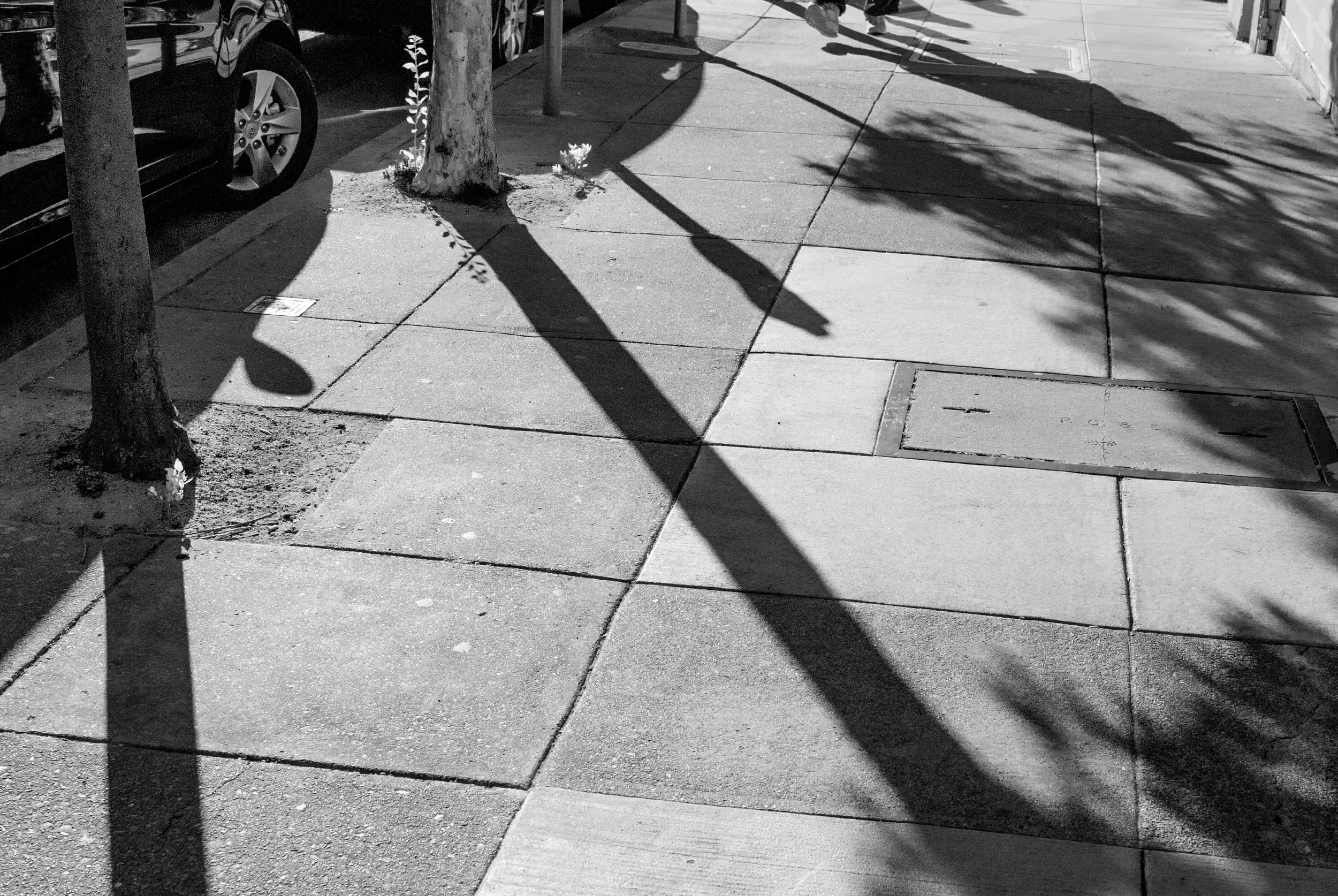 200_0303.jpg