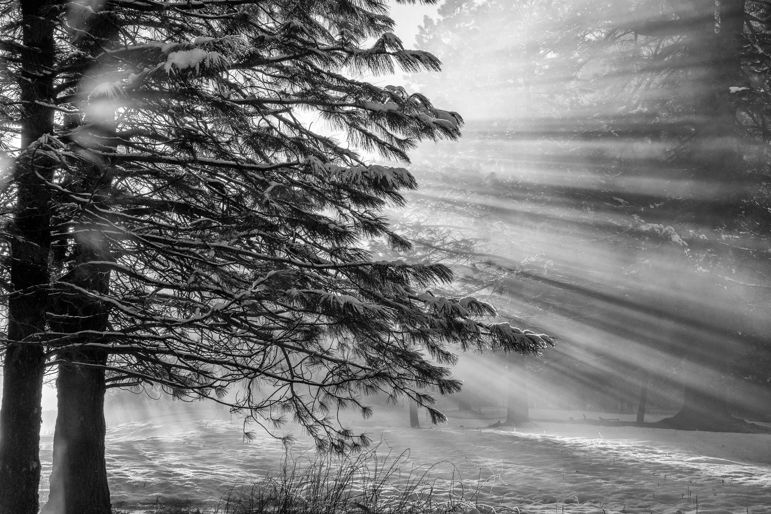 AJC_5194-Edit.jpg