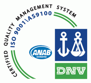 DNV Logo_ISO9001-2008.jpg
