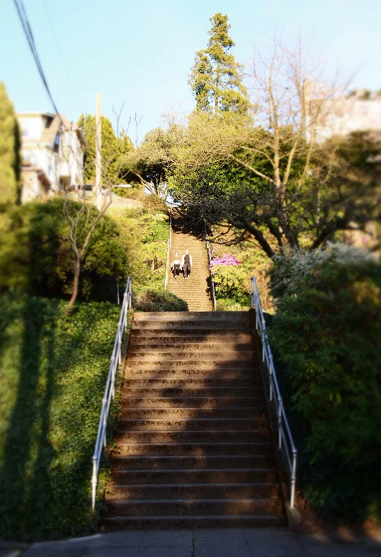 13_0402 Blaine Steps small.jpg