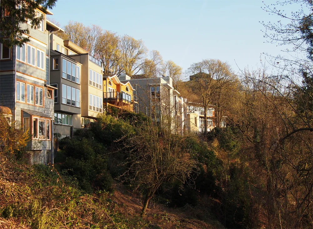 View Homes Small.jpg