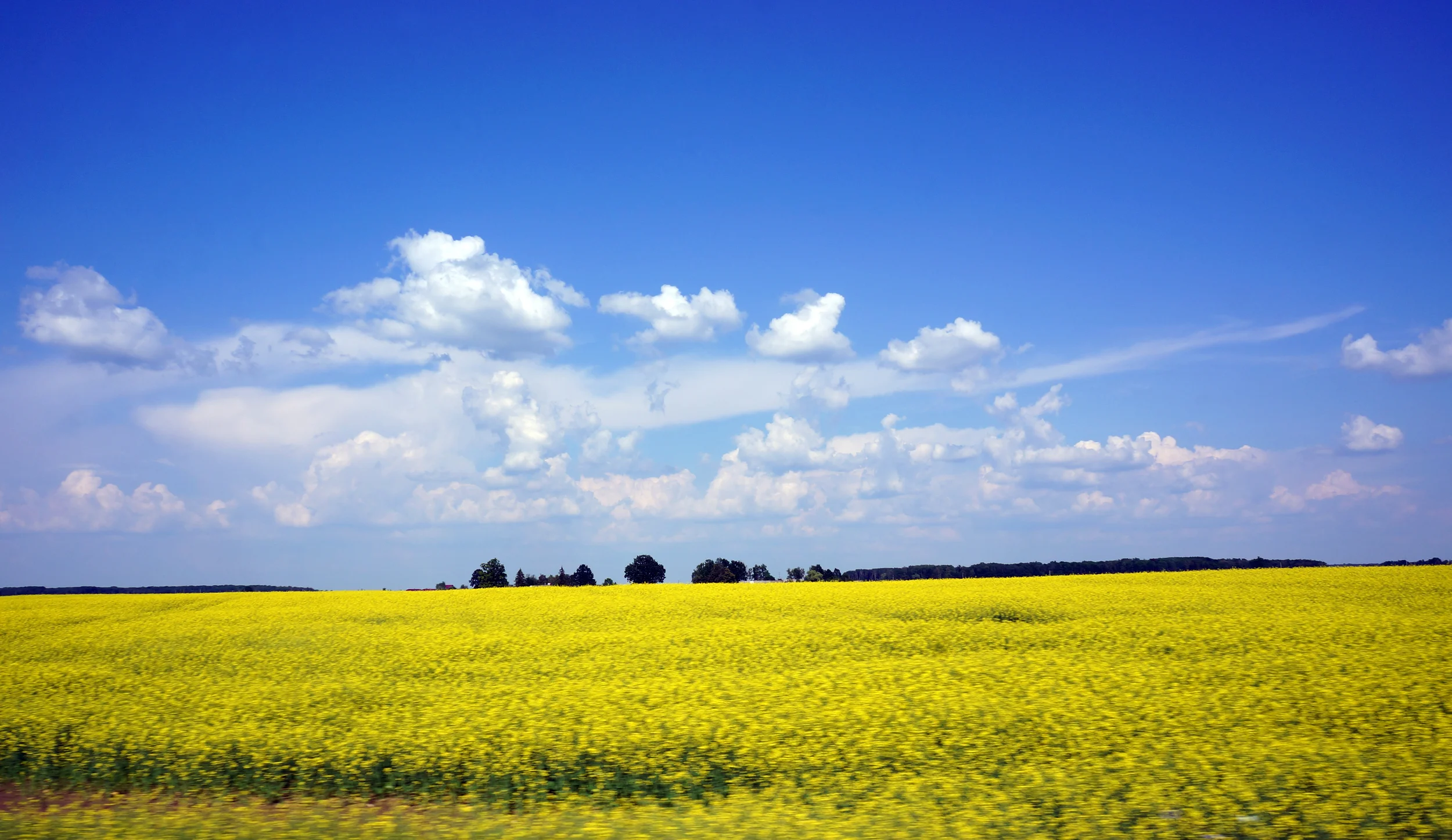 Latvian Countryside- Christopher