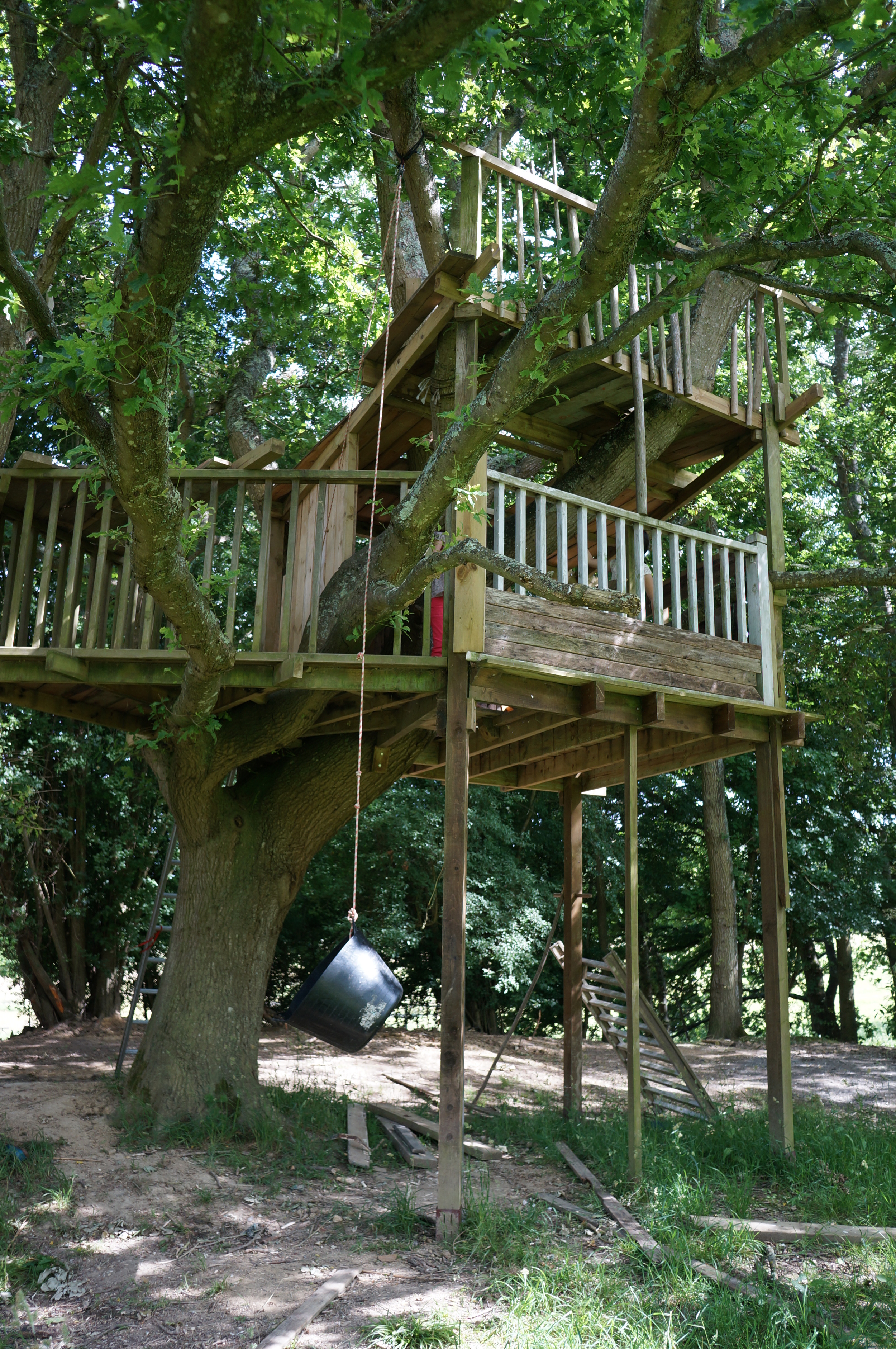 Laughton treehouse.JPG