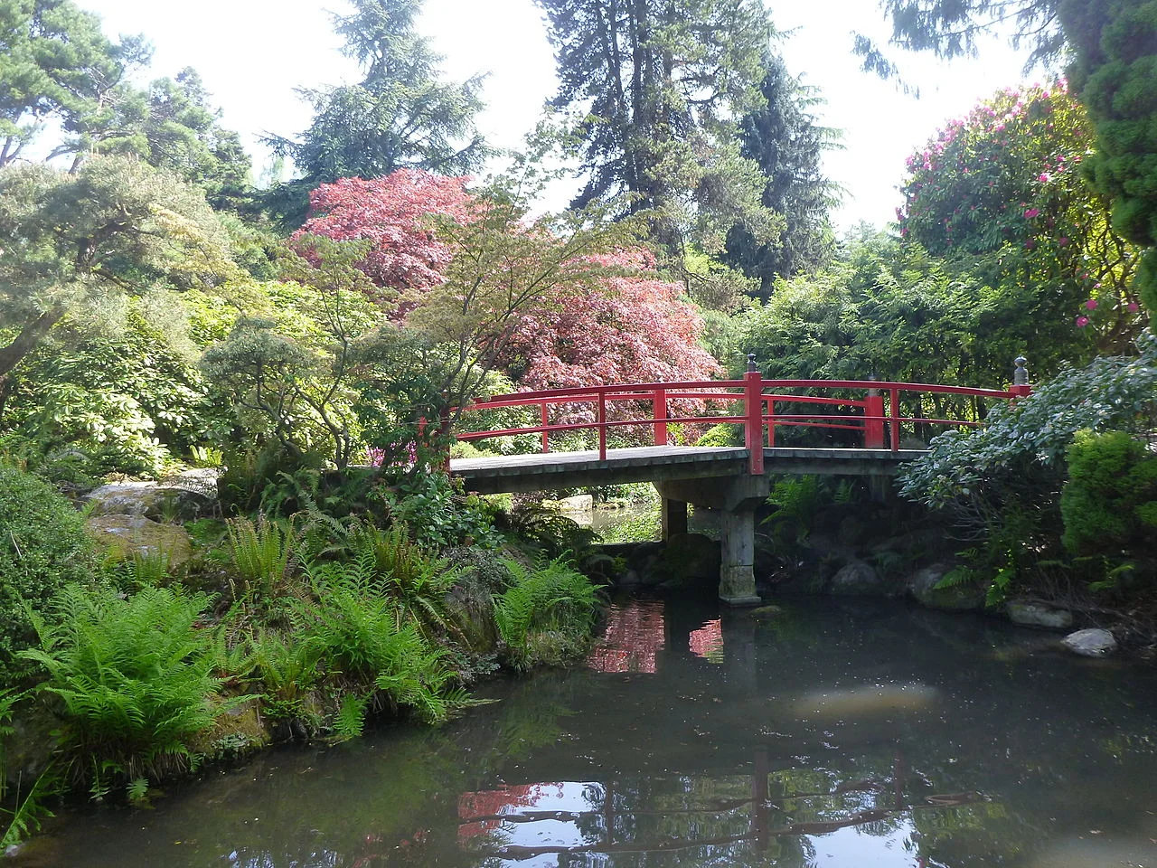 Kubota Garden.jpg