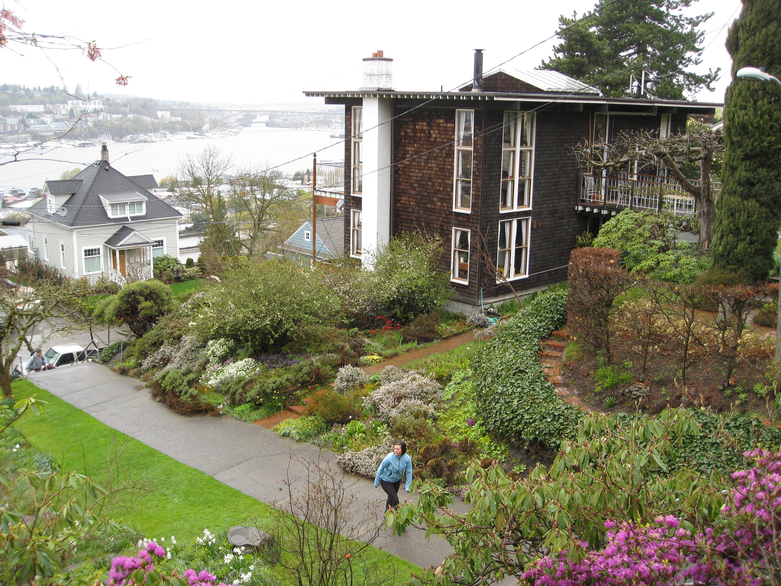"I love how tucked away this park is – if you’re coming from 10th it’s easy to miss the stairs that lead down to it. The hillside gardens are really beautiful and have a wildness to them that I really like. There also is a pretty great view of Lake Union and the Olympic Mountains from the top."