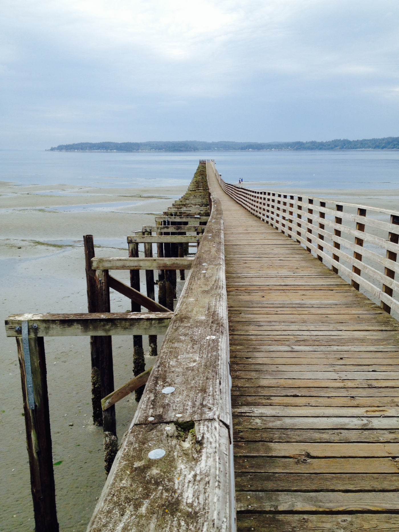 Indianola pier copyright schemata workshop inc.