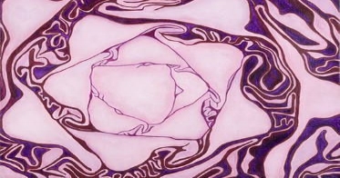 red cabbage.jpg