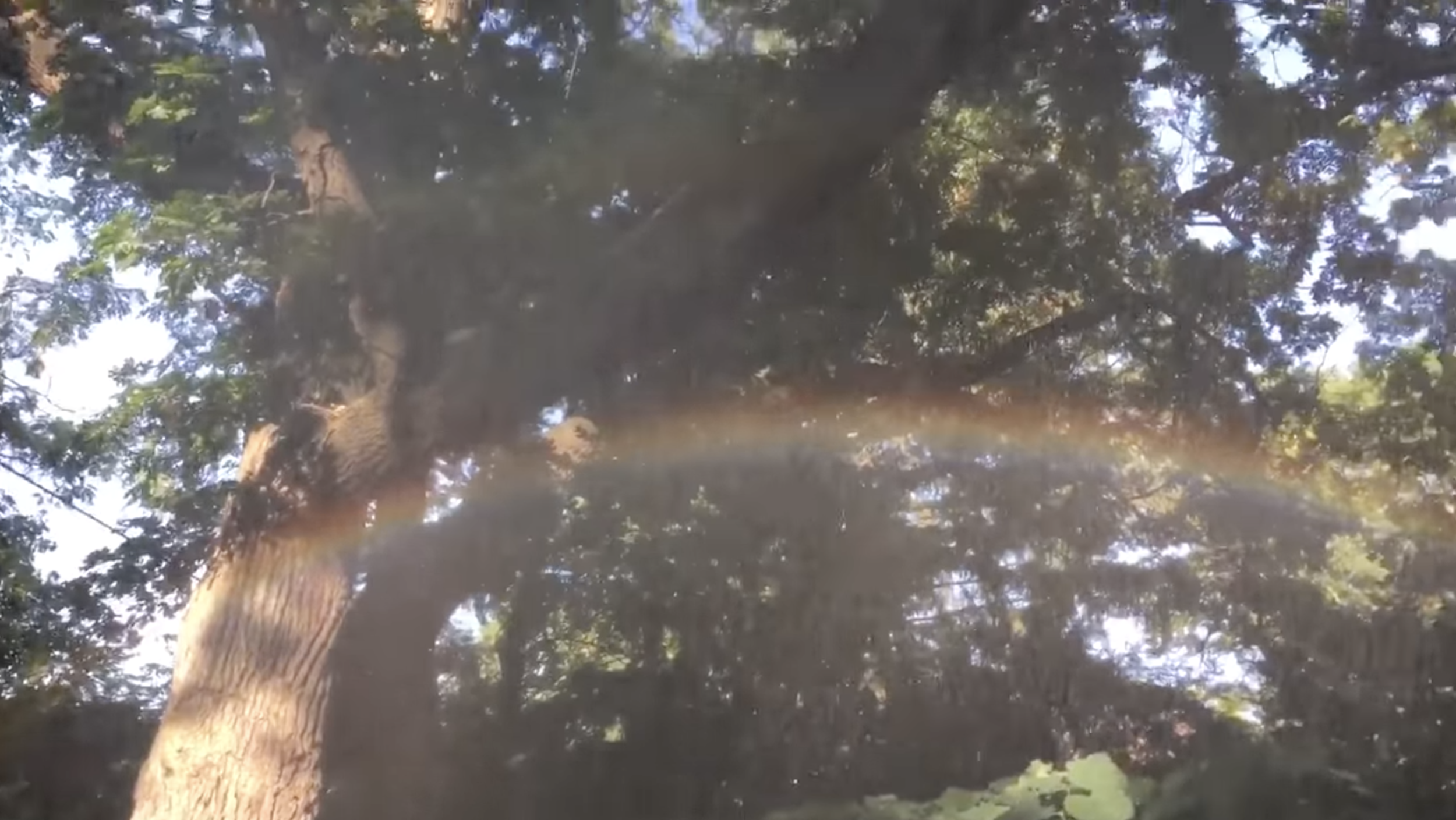 Screen Shot 2021-12-10 at 12.39.58 AM.png