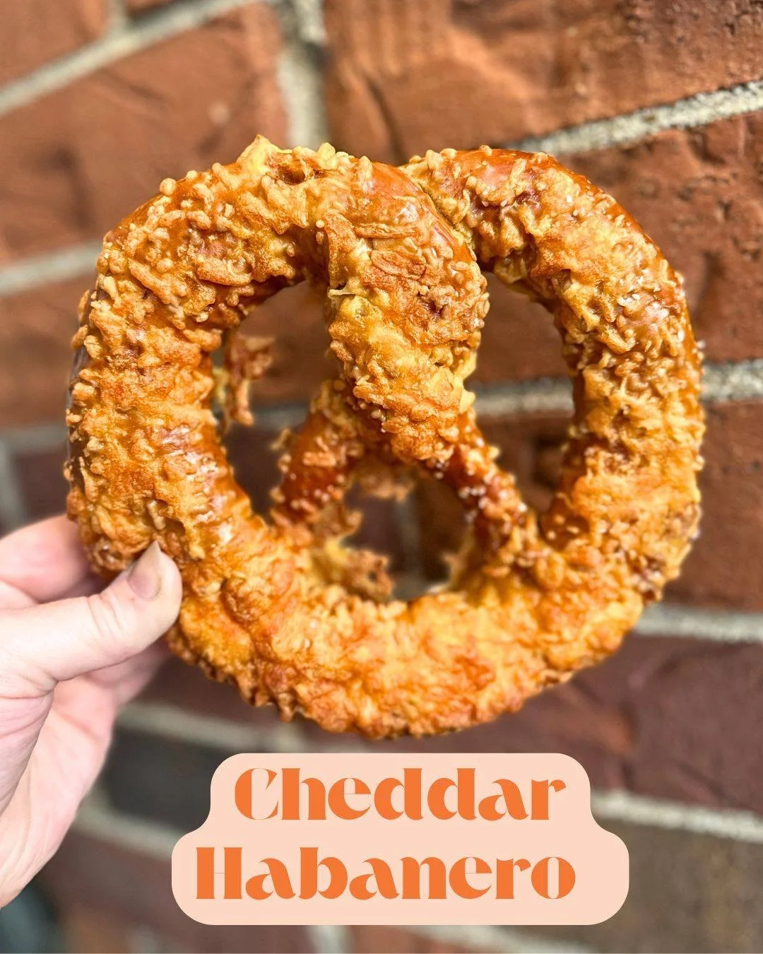 🌶️🔥 Things are heating up around here...

Our Cheddar Habanero Pretzel is made by mixing fresh habaneros straight into the dough&mdash;and this batch came out EXTRA spicy 😳. Before baking, we top each pretzel with cheddar cheese for the perfect ba