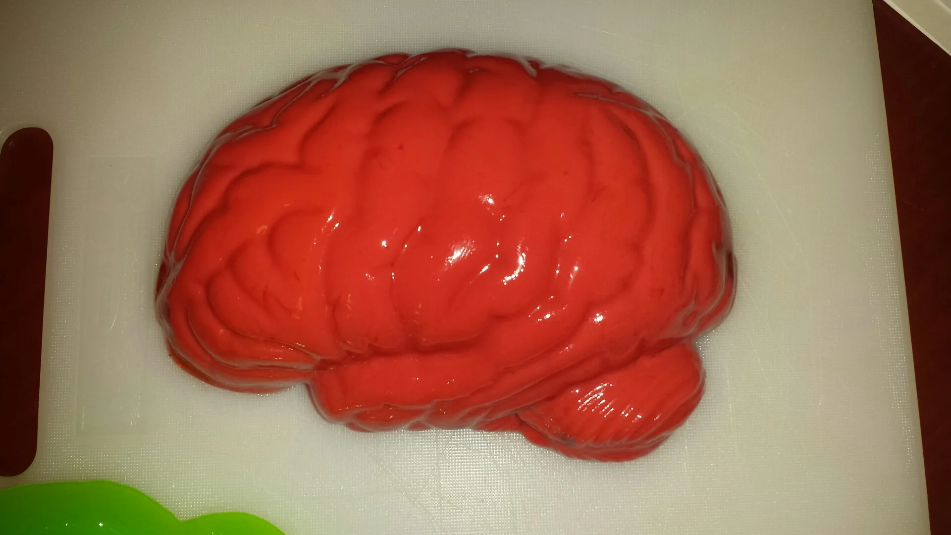 To show the kids how fragile their brains are, we brought a jello brain. Lots of squealing when they touched it :)