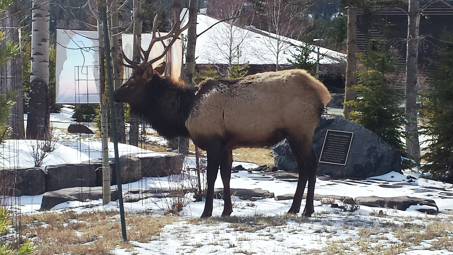 Unexpected guests showed up during one of the coffee breaks.